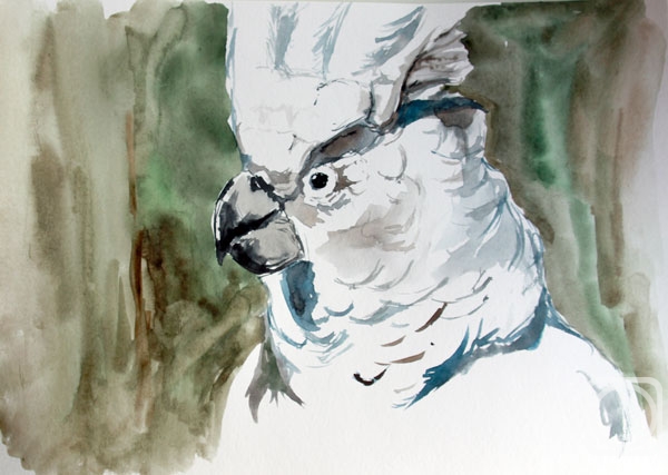 �������. ������ ������. ������ ��������