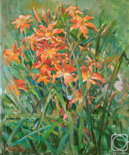 ������� ������ �� ������. ������ ����. ��������