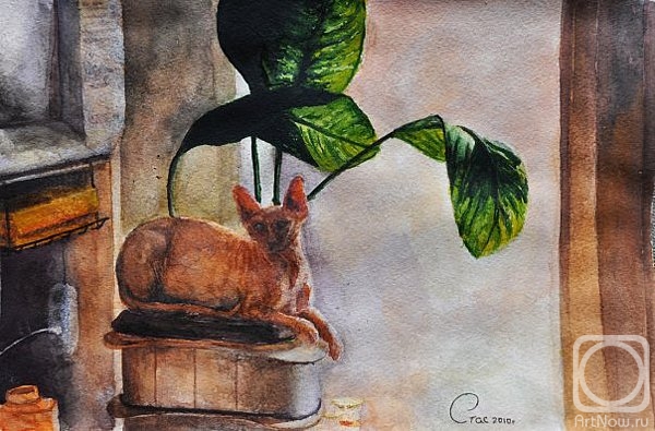 �������. ���� ����. ������� ��� ��������