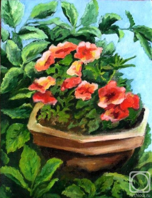 ������� ������ �� ������. ������� ��������. �����