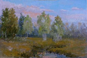 ������� ���������