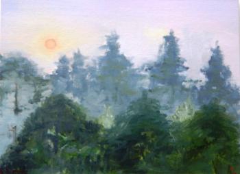 August 2010. Moscow region in the smoke of forest fires. Sunny morning. Gvozdetskaya Irina