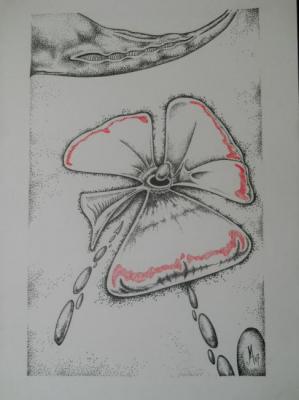 ������� ����� ������