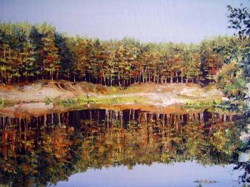 A pine forest at lake