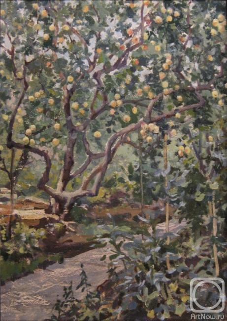 �������. ������� ��������. ������. ������ �����