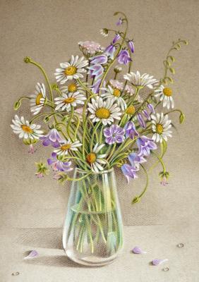 Daisies and bluebells