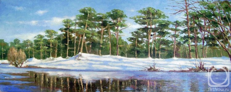 Kulagin Oleg. Pine forest