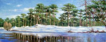 Pine forest. Kulagin Oleg