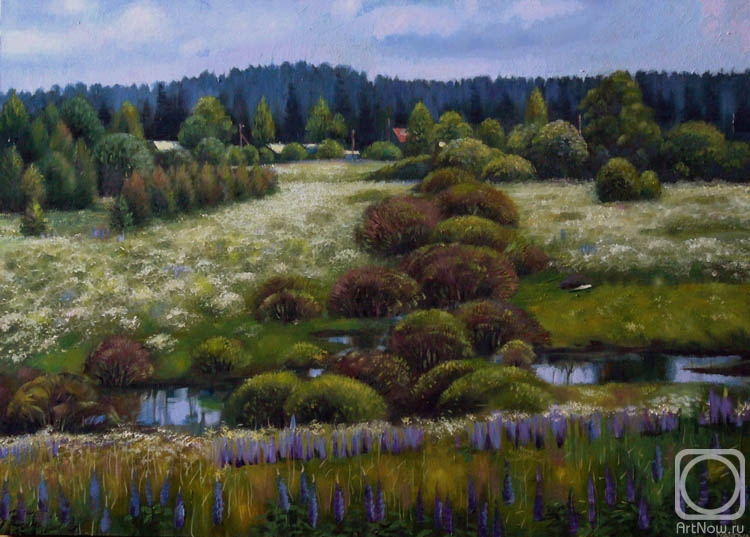 Ivanova Olga. The flowering swamp