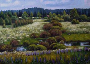 The flowering swamp (Flowering Bushes). Ivanova Olga