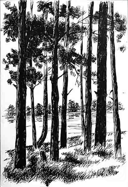 �������. ������� �����. �����