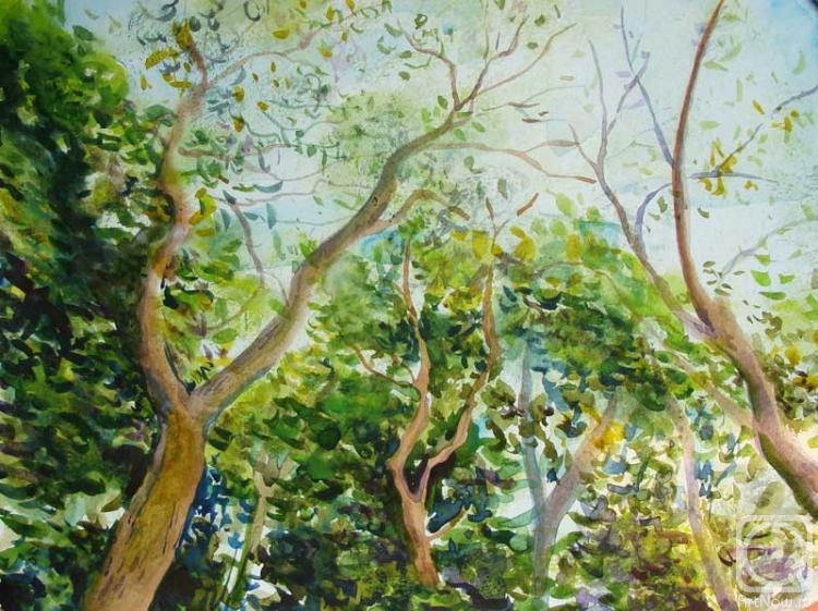 �������. ��������� ����. ��� ���������