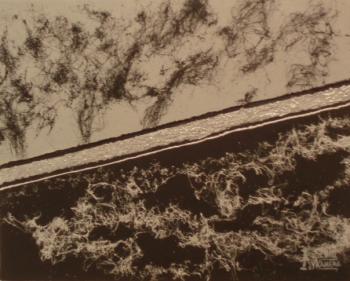 ���������. �������� ������