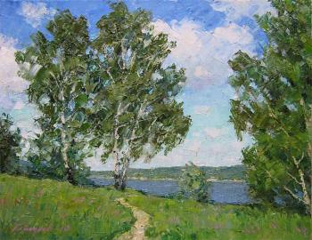 Path to the river. Gaiderov Michail