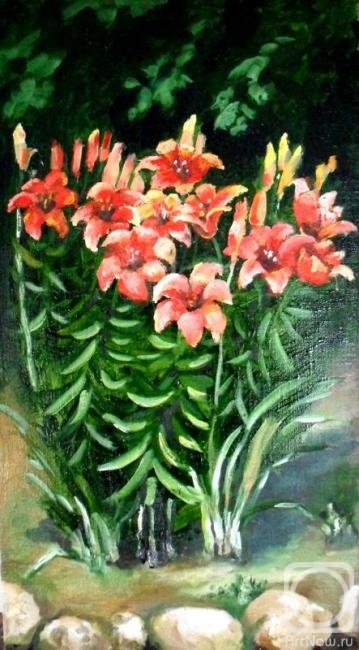 ������� ������ �� ������. ������� ��������. �������� �����