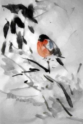 Bullfinch. 2010
