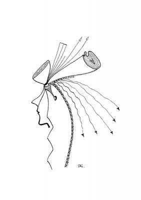 ������� ���� ���������