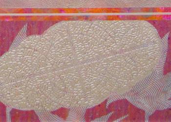 ���� �������� (�������� �������)