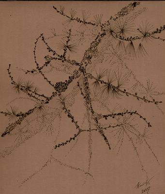 Botanical studies: Larch-tree. (2). Kataeva Galina