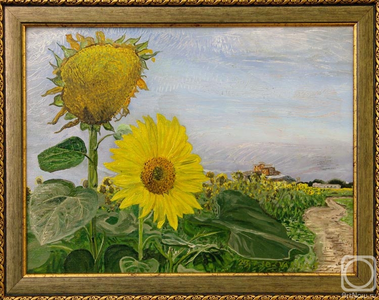 Poltavsky Aleksandr. 07/23/2010 y. Two sunflowers ("The senility" & "The youth"). Village Grazhdanskoe (Civil) (The second Grazhdanka) Minvody county, Stavropolian region