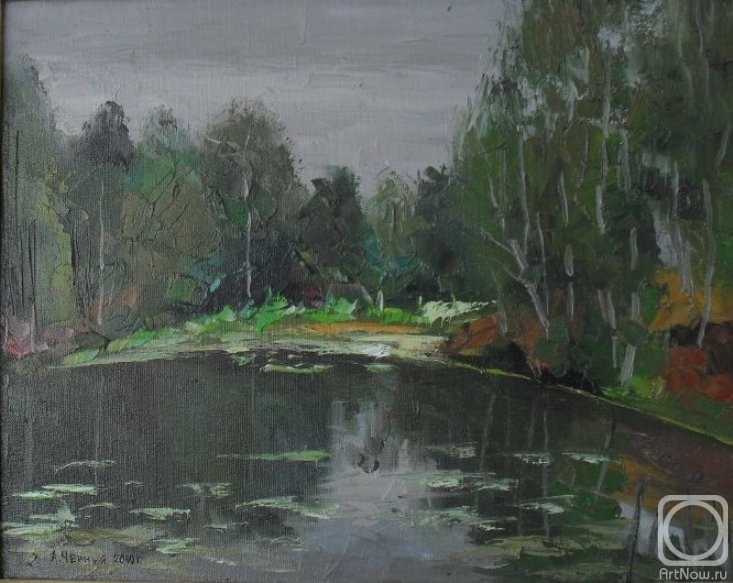 ������� ������ �� ������. ������ ���������. ������