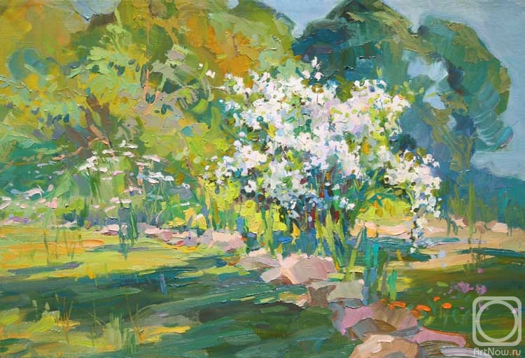 Mirgorod Igor. Untitled