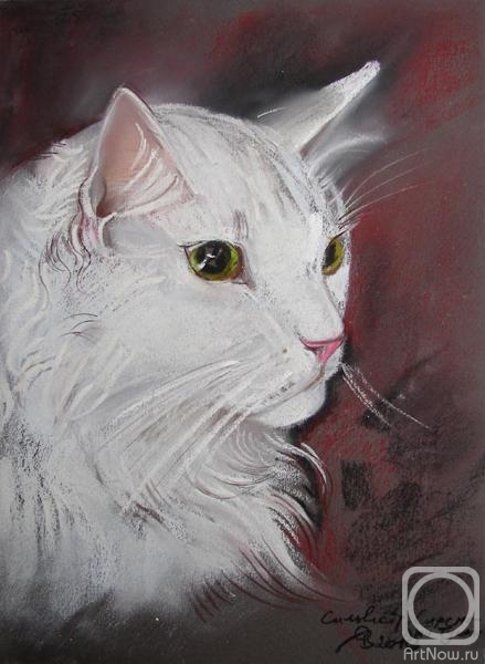 Voronova Oksana. Siberian cat