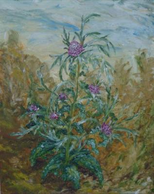 ������� ��������