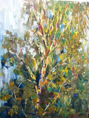 ������. ��������� ����