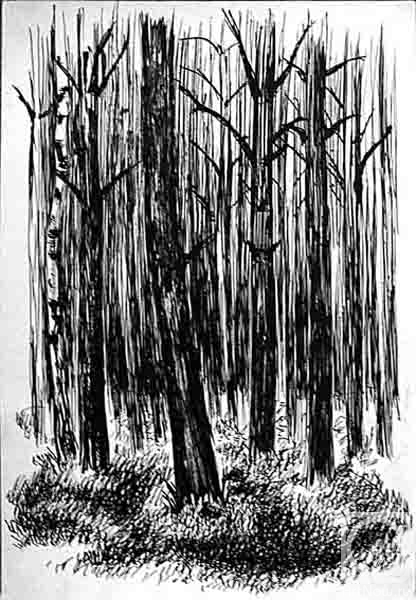 �������. ������� �����. �������� ���