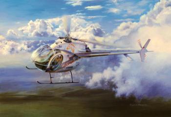Aktay" the helicopter. Alekseyenko Eugene