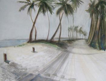 Dominicana. Palm forest