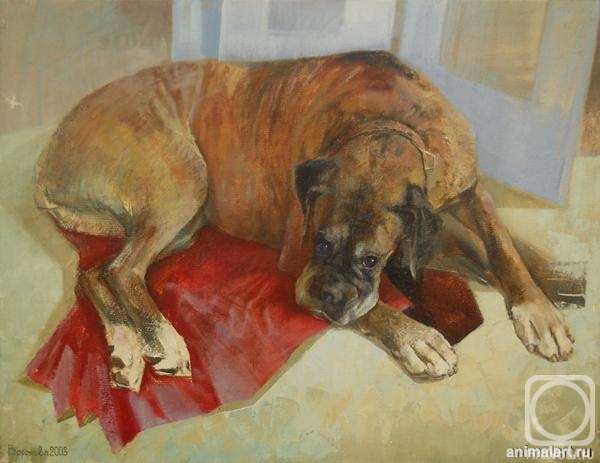 ������� ������ �� ������. �������� ������. ����