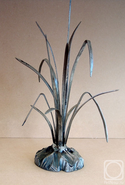 ������� ������. *������*