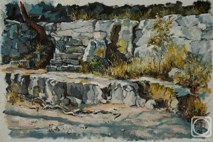 Udaltsov Vladimir. Abandoned stone-pit