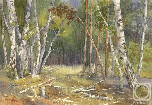 Pugachev Pavel. On the edge of a birch grove