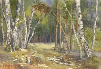 On the edge of a birch grove. Pugachev Pavel