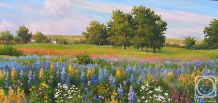 Abramova Tatiana. Blossoming field