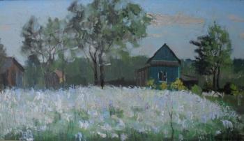 Dandelion field. Chernyy Alexandr
