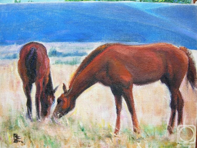 ������� ������ �� ������. ������ �����. �� ����