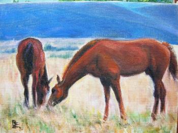 ������� ��� ����