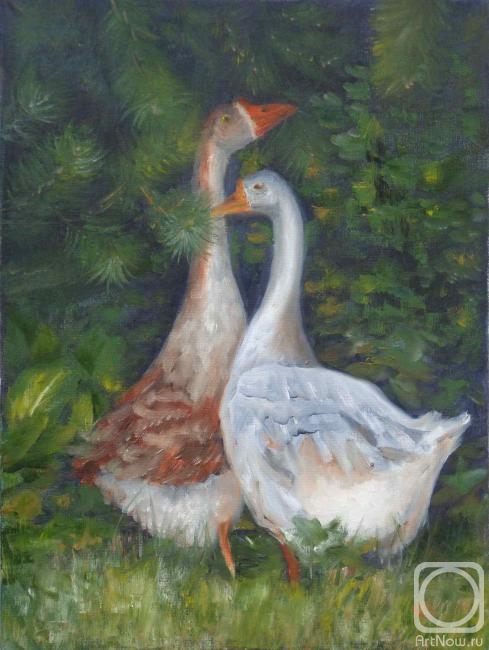 ������� ������ �� ������. �������� ��������. ��������