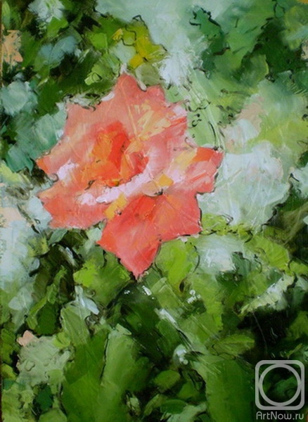 ������ �������. ����� �����