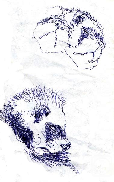 �������. �������� �����. ������