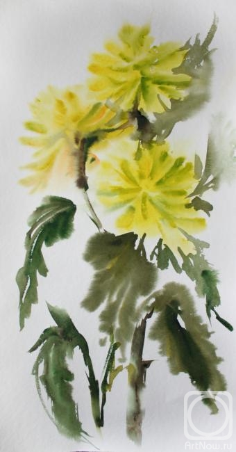 Zvereva Tatiana. Yellow chrysanthemums