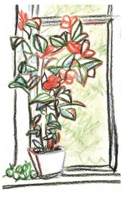 ������� ���� ���������