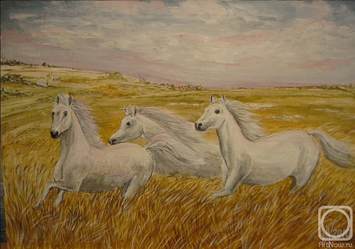 �������. ���������� �������. ����� �������