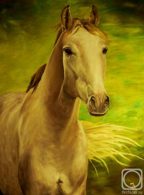 Vasileva Irina. �5