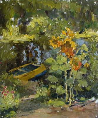 Pereslavl. Sunflowers