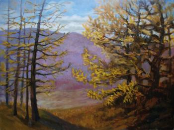 ������� ���������. ������